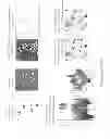 Fig. 07 - Automation of Ingredient-Specific Particle Sizing Employing Raman Chemical Imaging