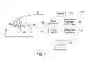 Fig. 02 - Method and system for determining the position of an ultrasonic wedge and a probe
