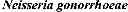 Fig. 03 - NOVEL GTP CYCLOHYDROLASE TYPE IB