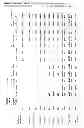 Fig. 33 - Deconstruction and construction of words of a polysynthetic language for translation purposes