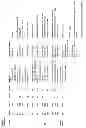 Fig. 35 - Deconstruction and construction of words of a polysynthetic language for translation purposes