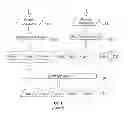 Fig. 03 - Multi-concept latent semantic analysis queries