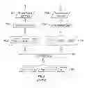 Fig. 05 - Multi-concept latent semantic analysis queries