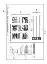 Fig. 31 - Split Rewards