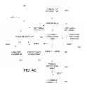 Fig. 08 - OFFER MANAGEMENT AND SETTLEMENT IN A PAYMENT NETWORK WITH TRANSACTION DATA
