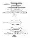 Fig. 02 - Customizing code modules of software and programmable hardware for a test instrument