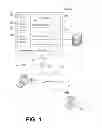 Fig. 02 - Connection leasing for hosted services