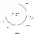 Fig. 28 - Glyphosate resistant plants and associated methods