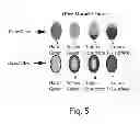 Fig. 04 - LIQUID CLEANING COMPOSITION