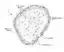 Fig. 01 - SYSTEMS, METHODS AND COMPOSITIONS RELATING TO COMBUSTIBLE BIOMATERIALS