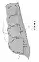 Fig. 02 - Crop protection netting