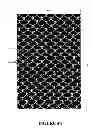 Fig. 06 - Crop protection netting