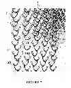 Fig. 11 - Crop protection netting
