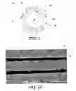 Fig. 02 - Abrasive articles including abrasive particles bonded to an elongated body