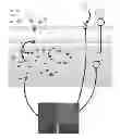 Fig. 01 - Plant nutrient coated nanoparticles and methods for their preparation and use
