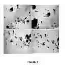 Fig. 02 - Plant nutrient coated nanoparticles and methods for their preparation and use