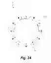 Fig. 35 - APPARATUS AND METHOD FOR VISUALIZING MUSIC AND OTHER SOUNDS