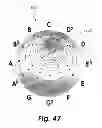 Fig. 48 - APPARATUS AND METHOD FOR VISUALIZING MUSIC AND OTHER SOUNDS