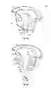 Fig. 20 - Liquid flow control and beverage preparation apparatuses