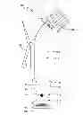 Fig. 01 - Apparatus and system for low-temperature cooking