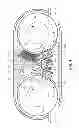 Fig. 05 - Dual drum spiral oven