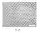 Fig. 06 - Screen-printing stencil having amorphous carbon films and manufacturing method therefor