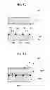 Fig. 05 - Cliché for electronic printing device, and electronic printing method and device using the same