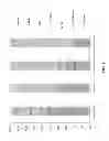 Fig. 02 - Macrophyte-based bioplastic