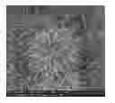 Fig. 01 - Radial coal ash based micro-architectures and method of synthesis