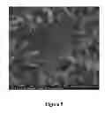 Fig. 06 - Radial coal ash based micro-architectures and method of synthesis