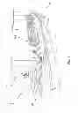 Fig. 02 - Ship comprising a ventilation device
