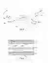 Fig. 02 - Simulated Brush Stroke System