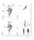 Fig. 02 - Systems and methods for sketching and imaging