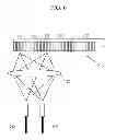 Fig. 06 - SPECTROPHOTOMETER