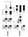 Fig. 20 - Printing control apparatus and method for continuously printing a plurality of jobs