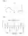 Fig. 06 - Optical component and method of manufacturing the same