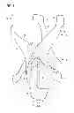 Fig. 02 - Rotor for Vertical Wind Power Station