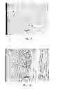 Fig. 04 - NON-ORIENTED ELECTRICAL STEEL PLATE WITHOUT CORRUGATED FAULT AND PRODUCTION METHOD THEREOF
