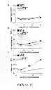 Fig. 06 - USE OF ADENOSINE RECEPTOR SIGNALING TO MODULATE PERMEABILITY OF BLOOD-BRAIN BARRIER
