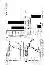 Fig. 08 - USE OF ADENOSINE RECEPTOR SIGNALING TO MODULATE PERMEABILITY OF BLOOD-BRAIN BARRIER