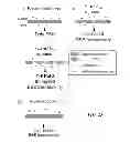 Fig. 28 - USE OF ADENOSINE RECEPTOR SIGNALING TO MODULATE PERMEABILITY OF BLOOD-BRAIN BARRIER