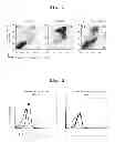 Fig. 02 - COMPLEX HAVING TUMOR VACCINE EFFECT, AND USE THEREOF