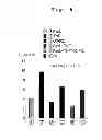Fig. 06 - COMPLEX HAVING TUMOR VACCINE EFFECT, AND USE THEREOF