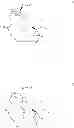 Fig. 04 - Macrocyclic serine protease inhibitors