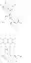 Fig. 08 - Macrocyclic serine protease inhibitors