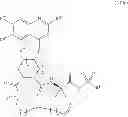 Fig. 32 - Macrocyclic serine protease inhibitors