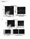 Fig. 04 - Methods for organ regeneration