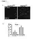 Fig. 06 - Methods for organ regeneration