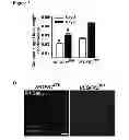 Fig. 07 - Methods for organ regeneration