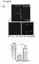 Fig. 09 - Methods for organ regeneration